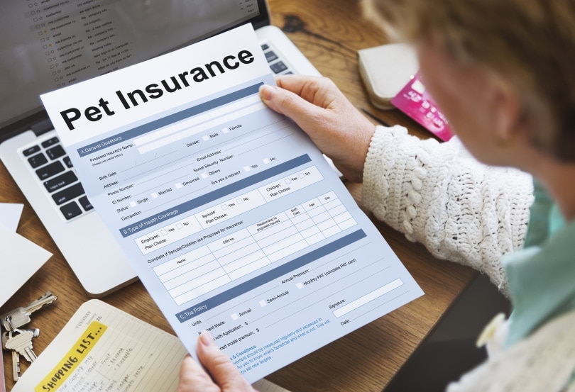 woman holding pet insurance form