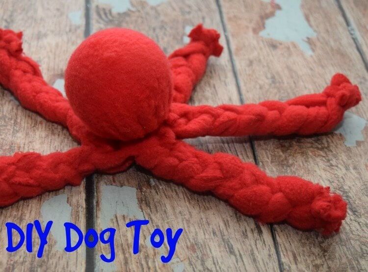 7 DIY Fleece Dog Toys You Can Make Today (with Pictures) Hepper