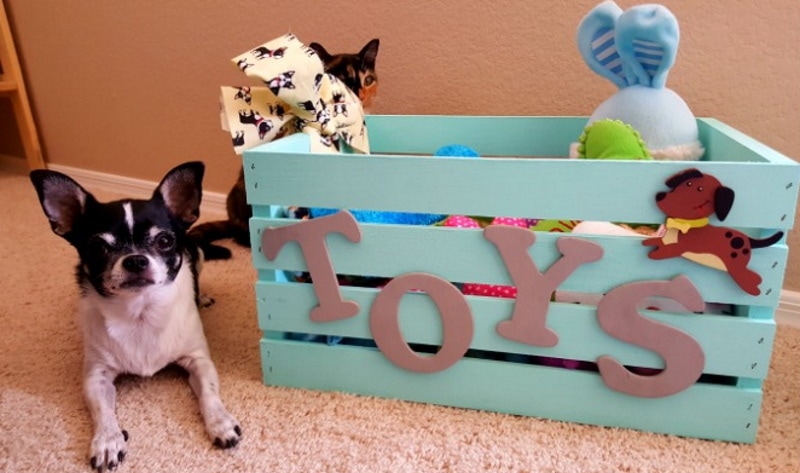 DIY Wooden Crate Toy Box for Dogs — Breanna Spain Blog