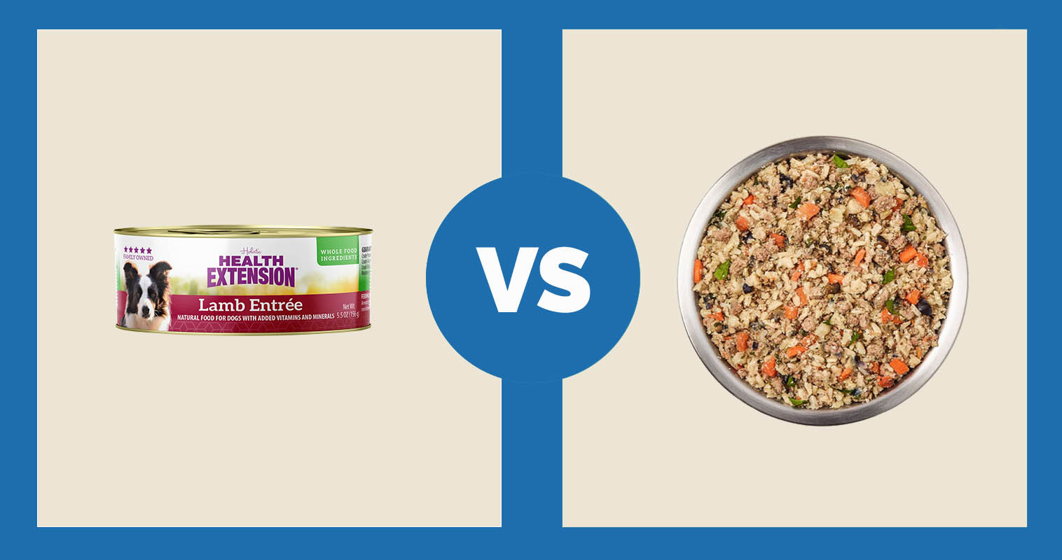 Health Extension Holistic Lamb Entree Wet Dog Food vs Just Food For Dogs Lamb Recipe