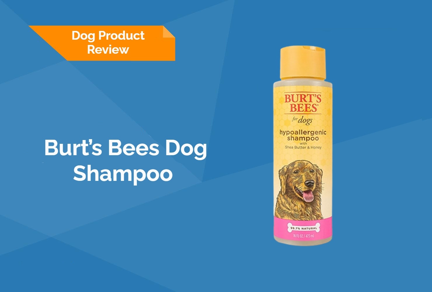 Hepper Dog Product Review