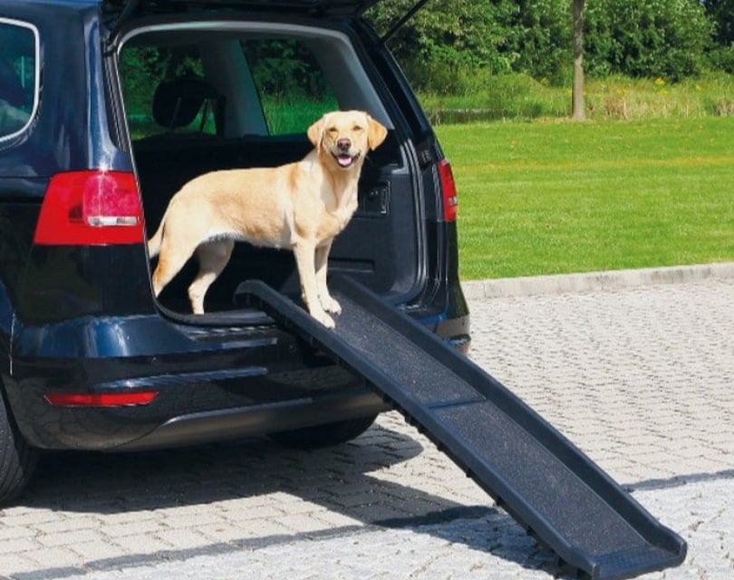TRIXIE Two-Fold Dog Car Ramp