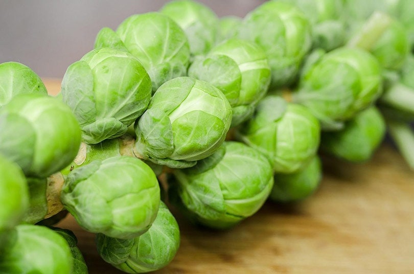 are brussel sprouts okay for dogs to eat