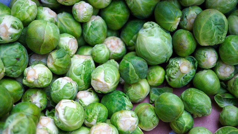 close up of brussels sprouts