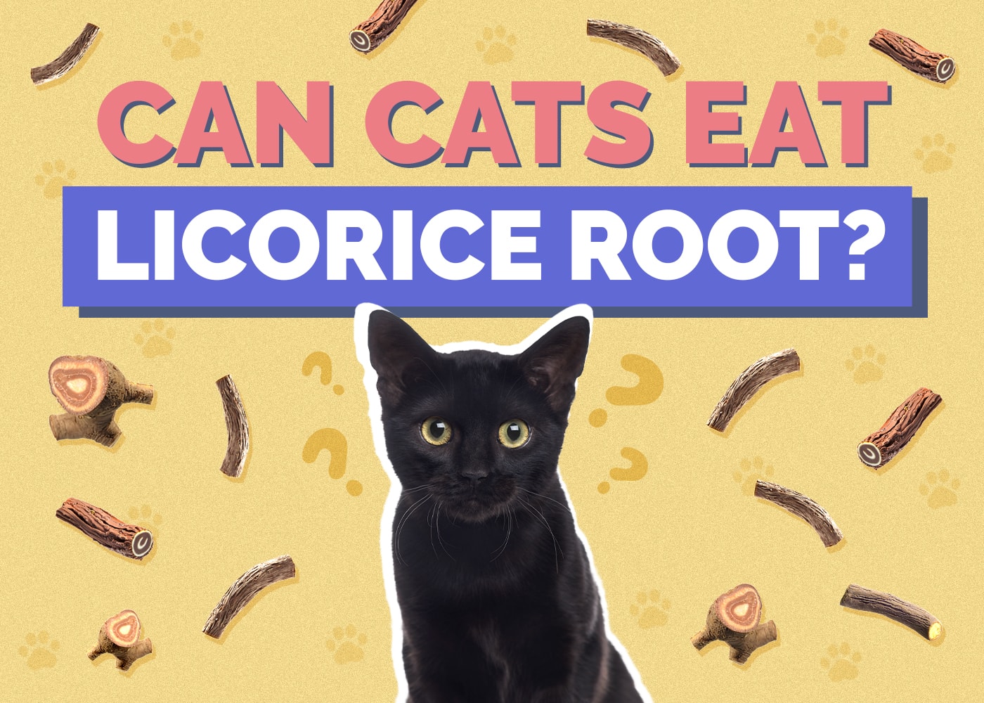 Can Cats Eat licorice-root