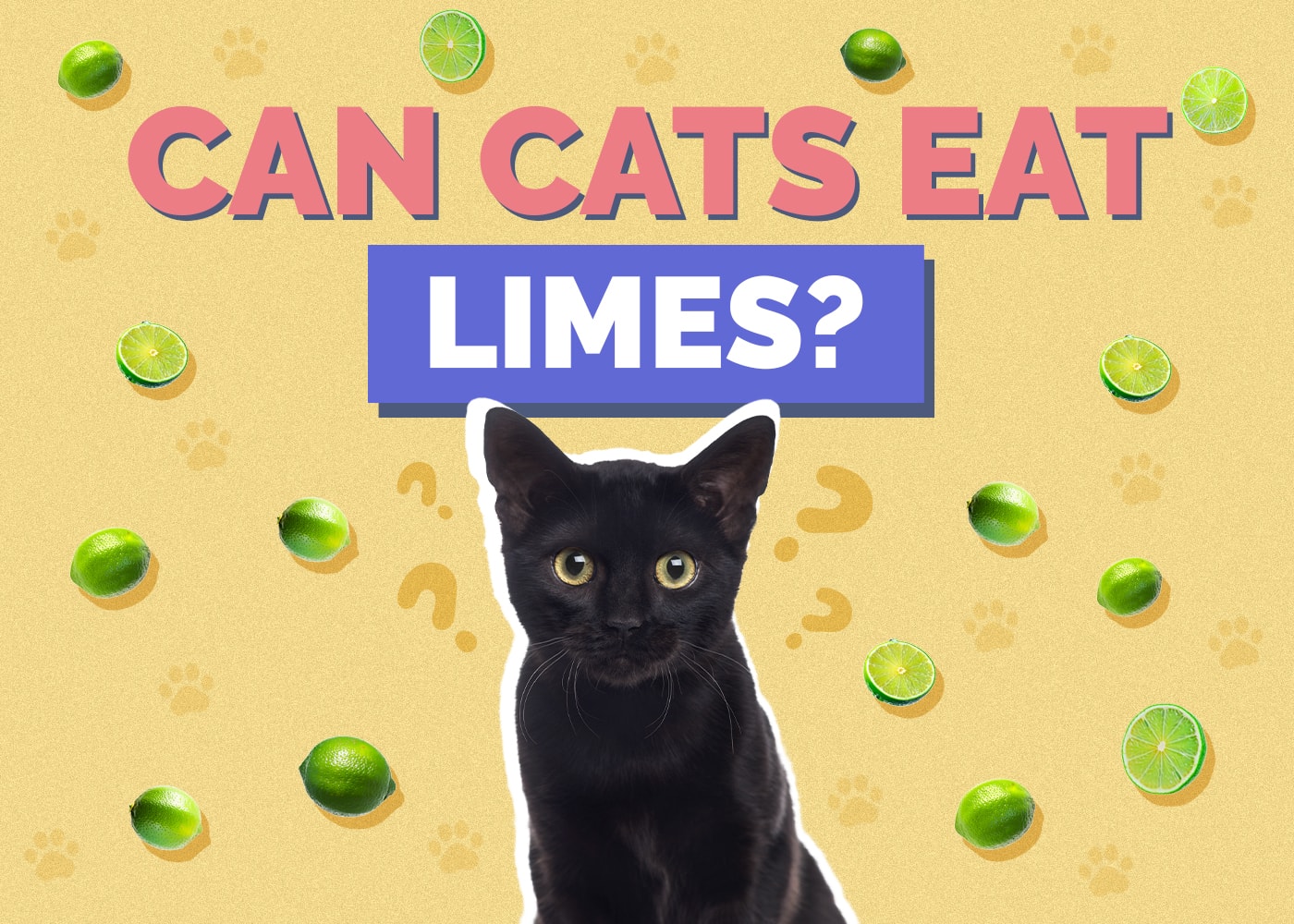 Can Cats Eat limes