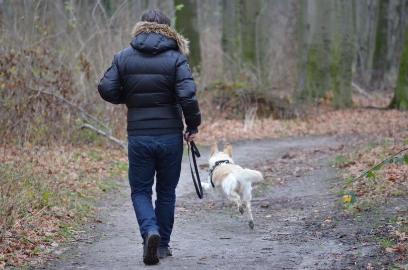 man running with his dog