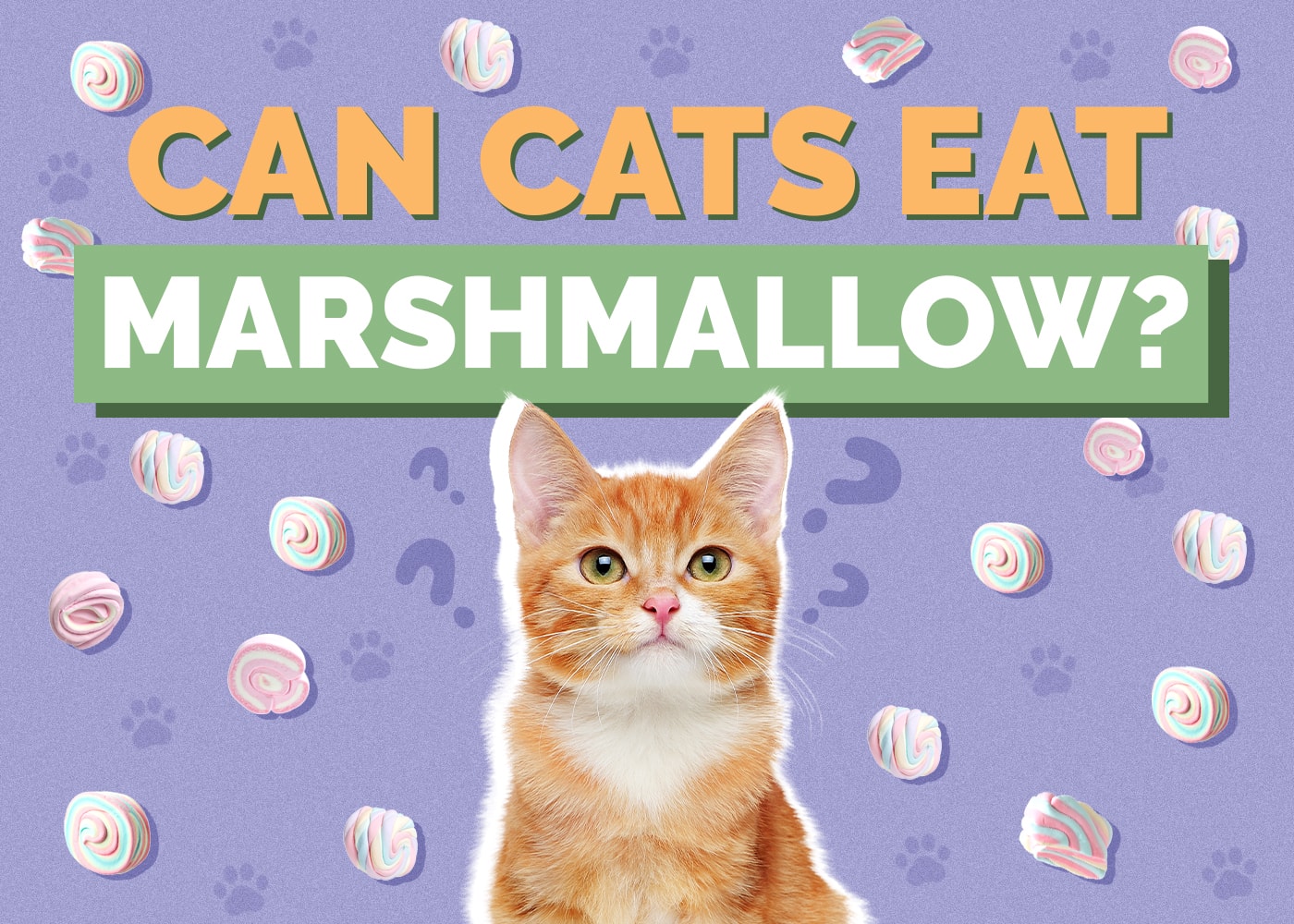 Can Cats Eat marshmallows