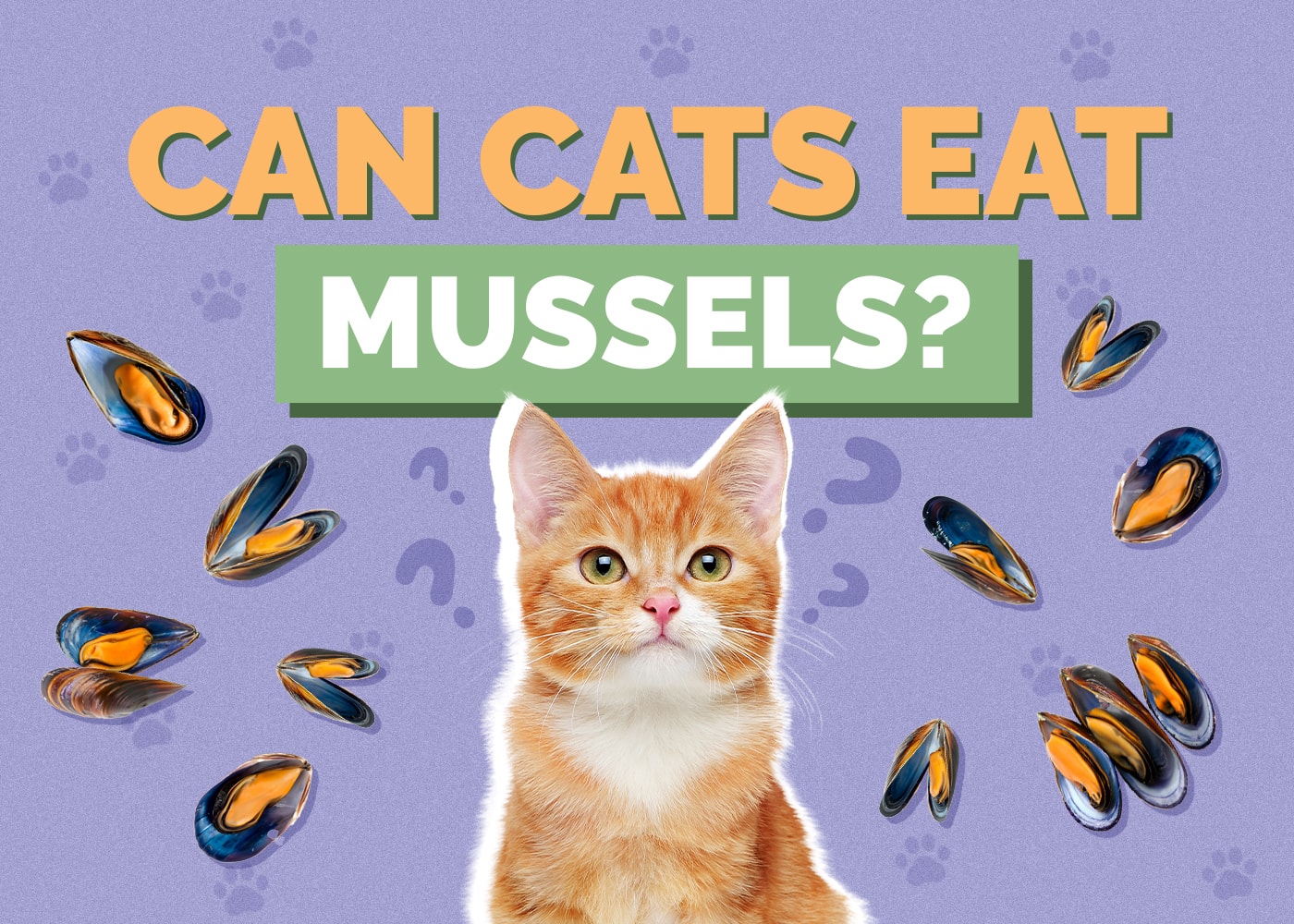 Can Cats Eat mussels
