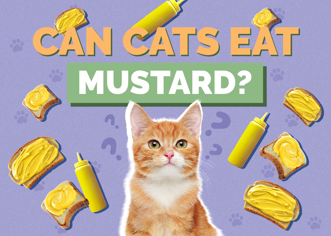 Can Cats Eat mustard