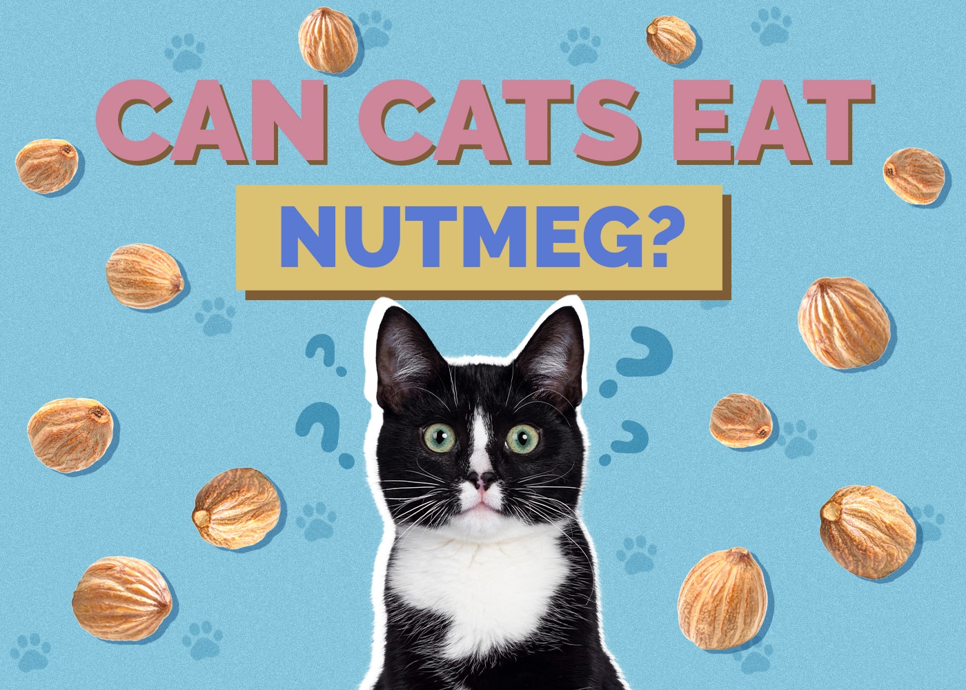 How Much Nutmeg Is Safe For Dogs