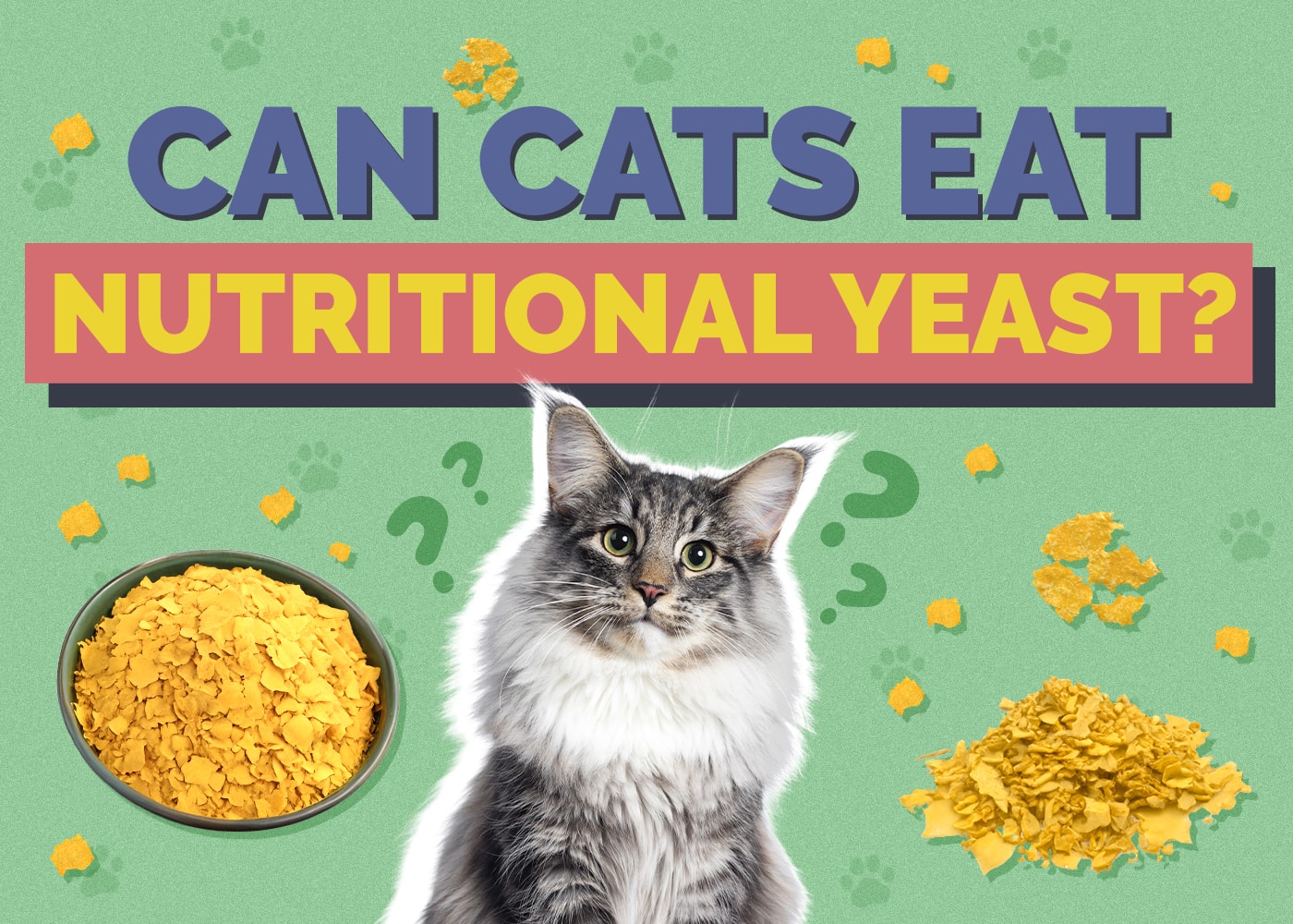 Can Cats Eat nutritional-yeast
