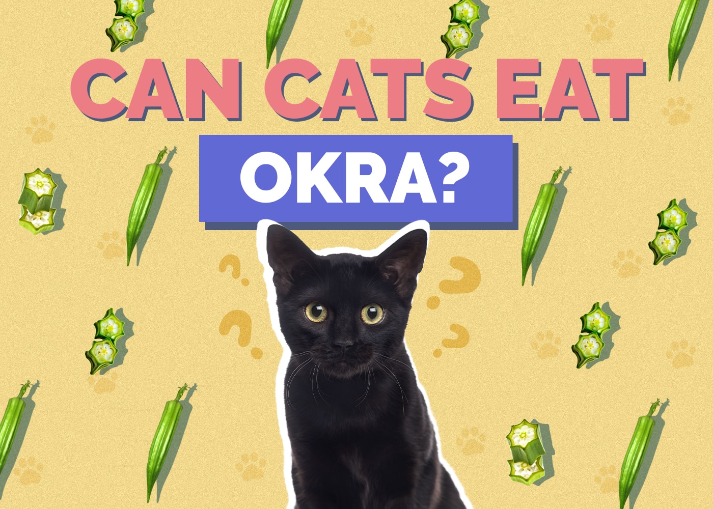 Can Cats Eat okra
