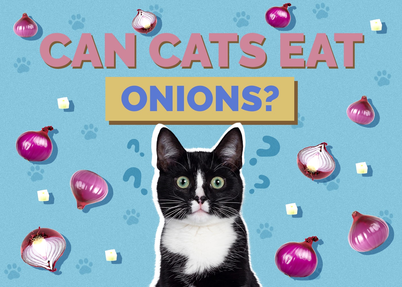 Can Cats Eat onions
