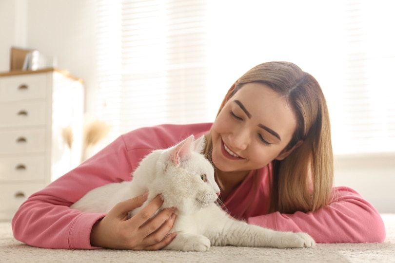 Person streichelt ihre Katze