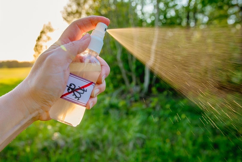 woman hand spraying homemade essential oil based mosquito repellent outdoors