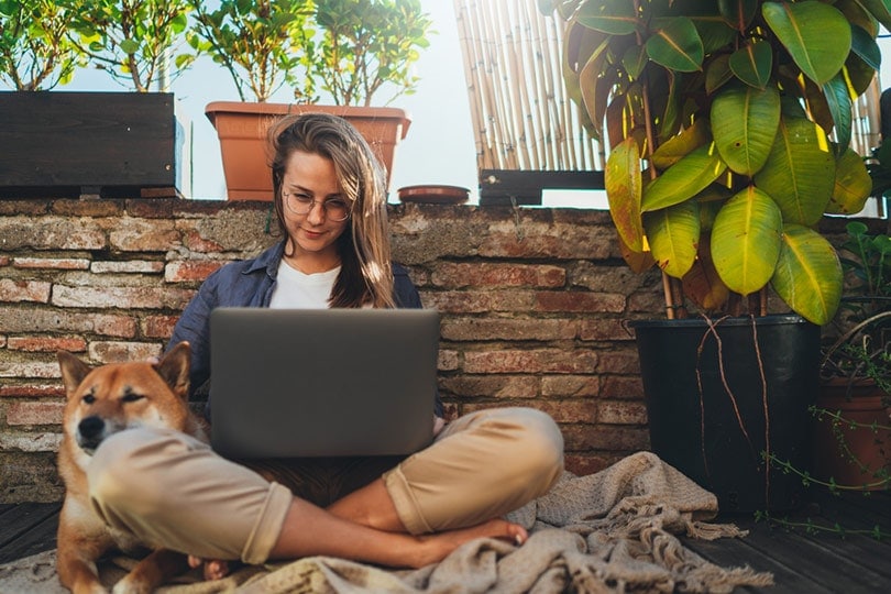 young girl sitting at home terrace with her dog working on laptop