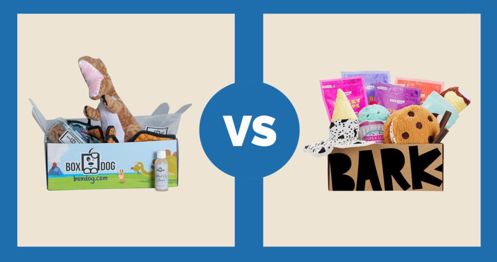 10 BarkBox Dog Box Subscription Alternatives in 2024 Our Comparisson
