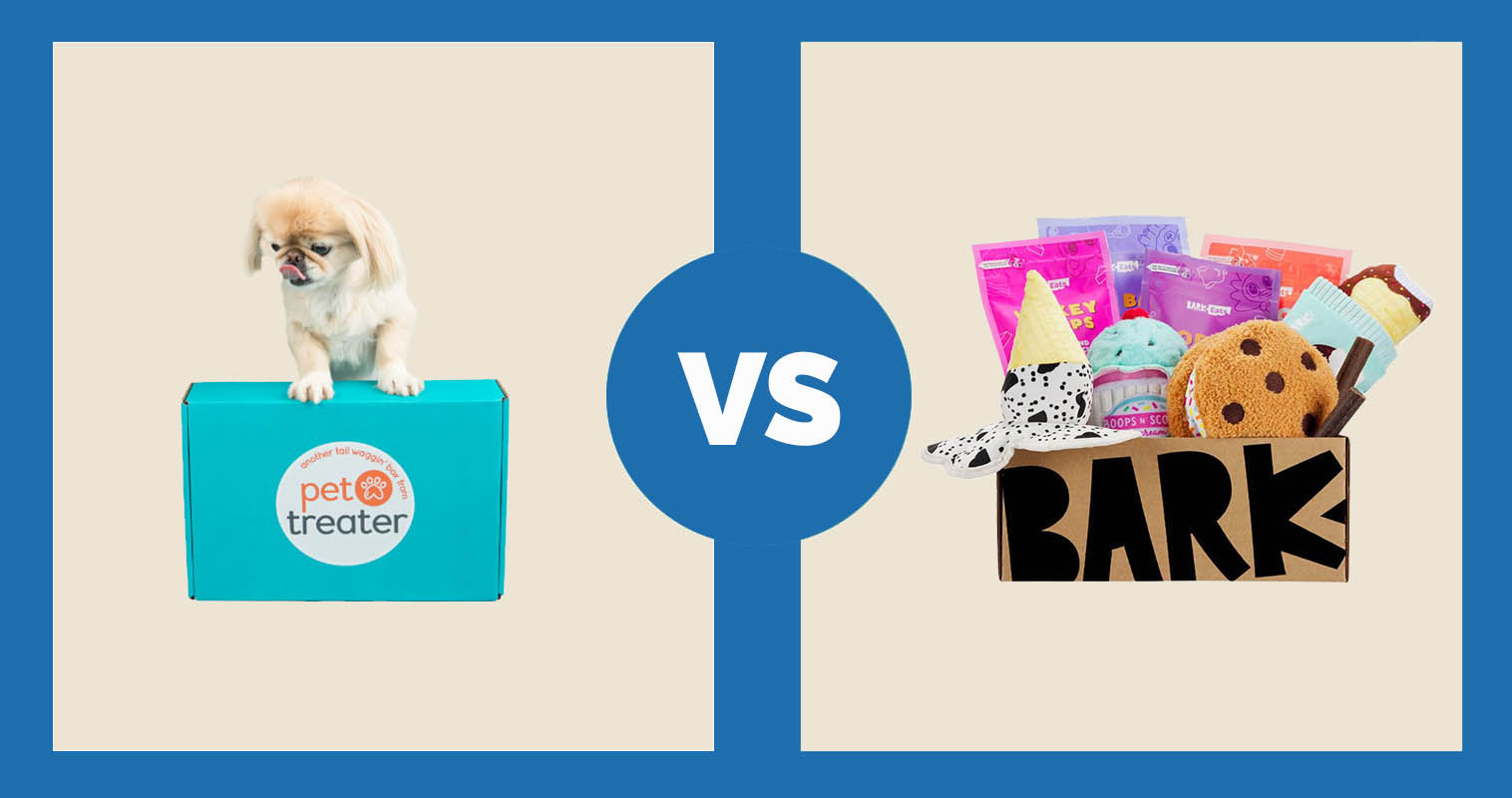 Companies on sale like barkbox