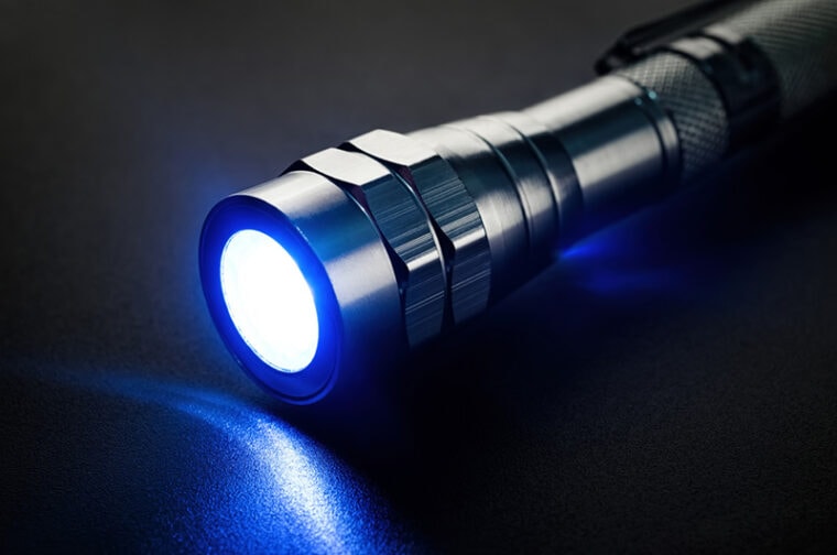 10 Best Blacklights for Finding Cat Urine Stains 2024 Reviews & Top Picks Hepper