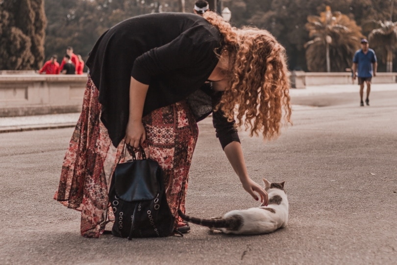 a woman petting a street cat