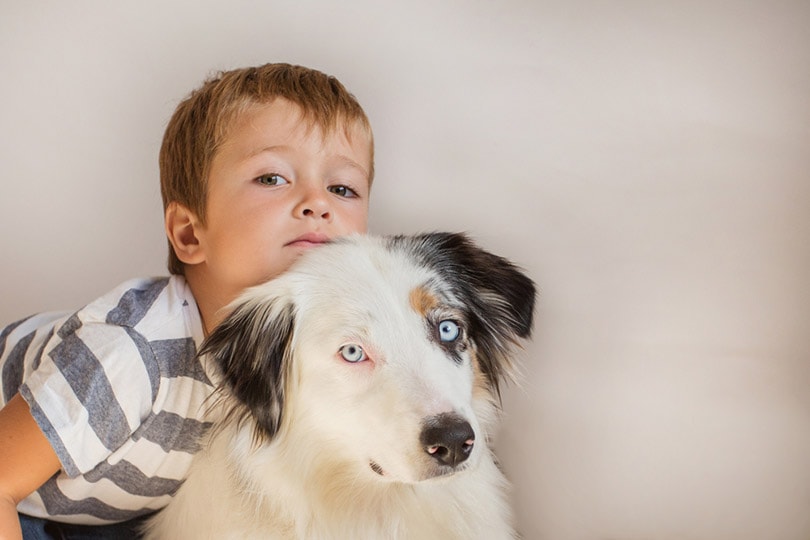 toddler boy holding australian shepherd indoor