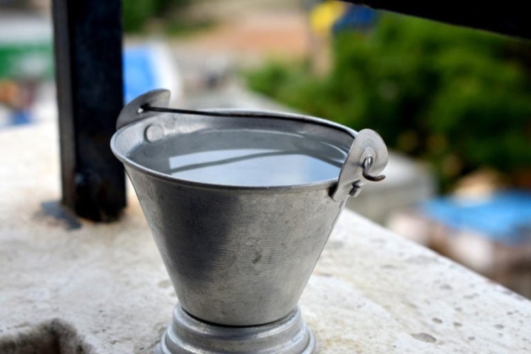 How To Safely Transport Fish Short & Long Distances Hepper