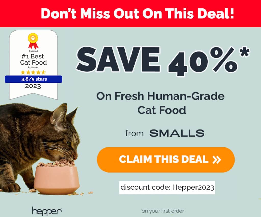 HEPPER_SMALLS_OPPORTUNITY_2023