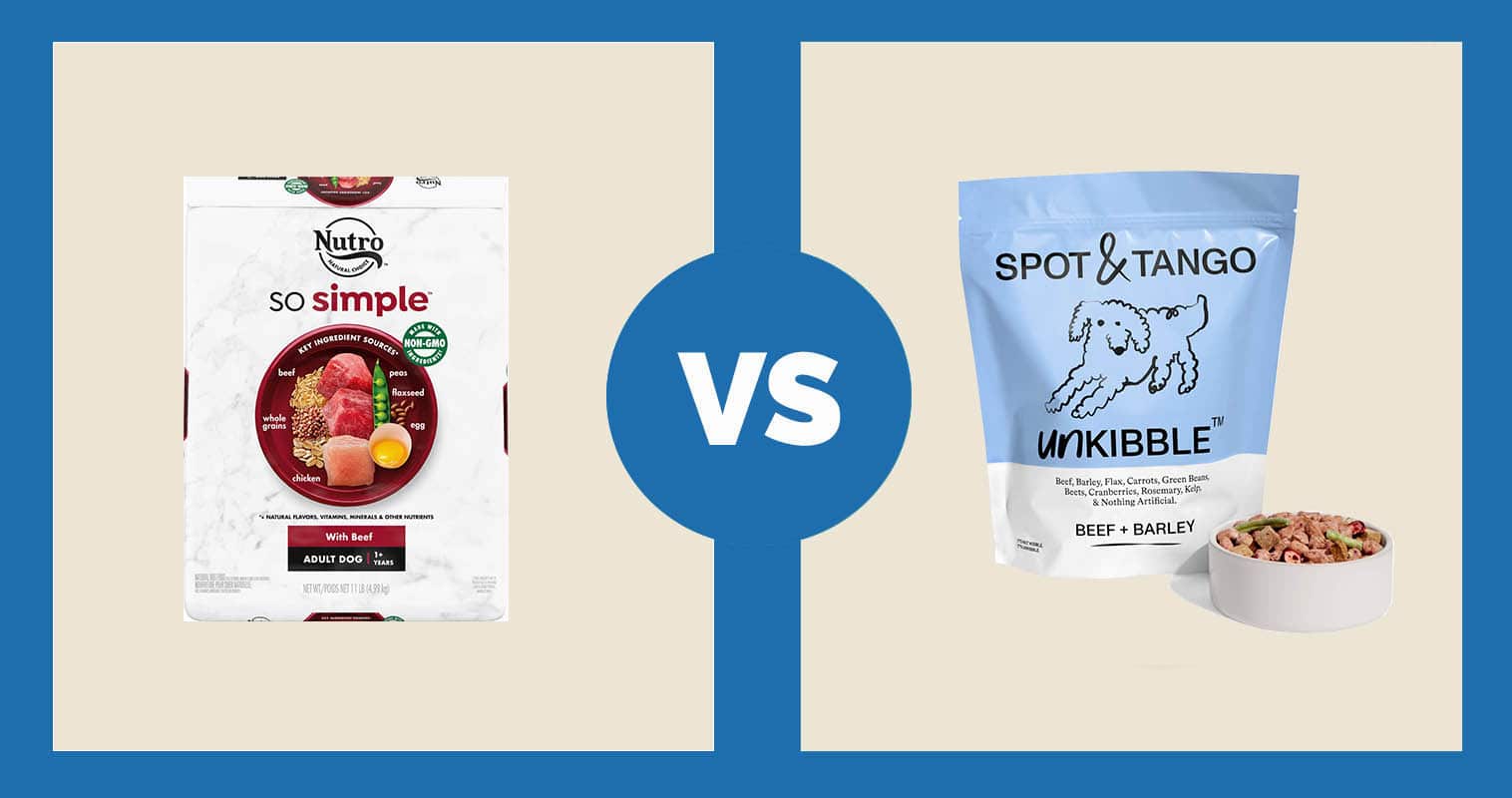 7 Spot and Tango Dog Food Alternatives 2024 Healthy Options For Your
