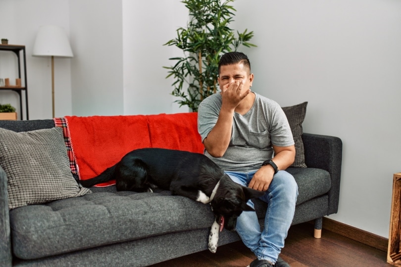man and his dog sitting on sofa