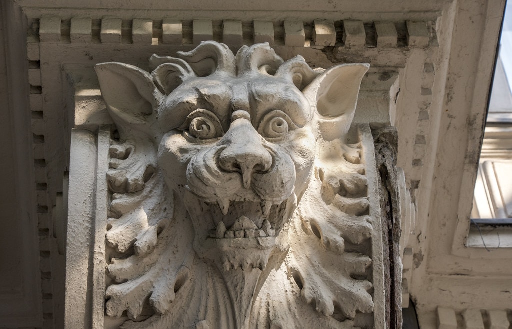 Demon cat - Washington