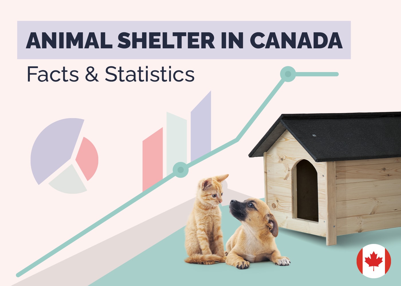 Animal Shelter in Canada Statistics