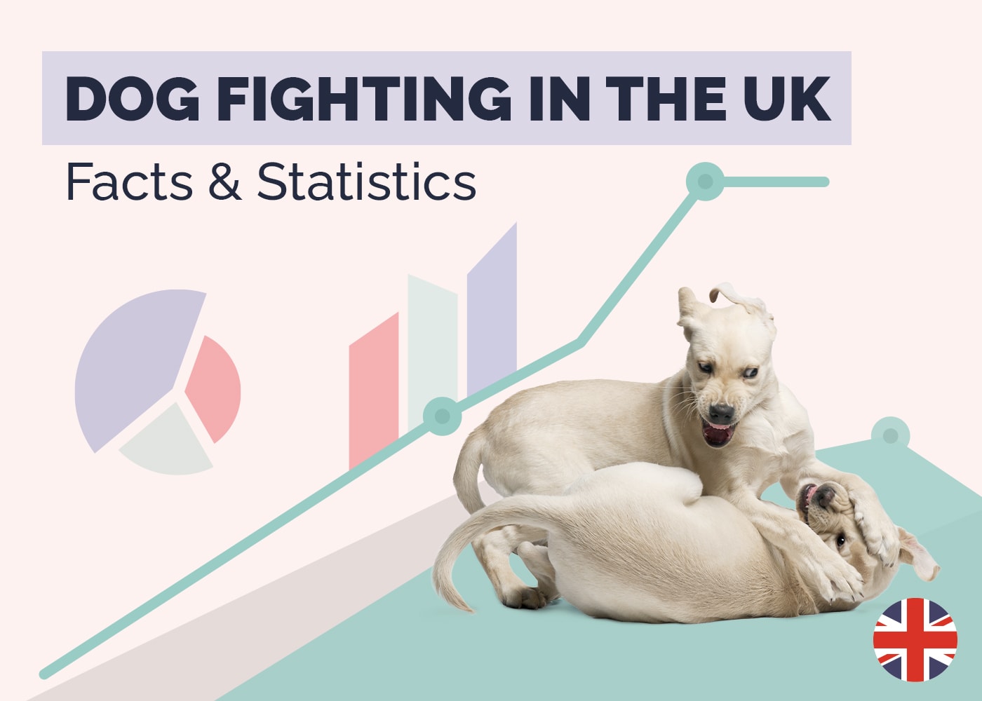 Dog Fighting in the UK Statistics