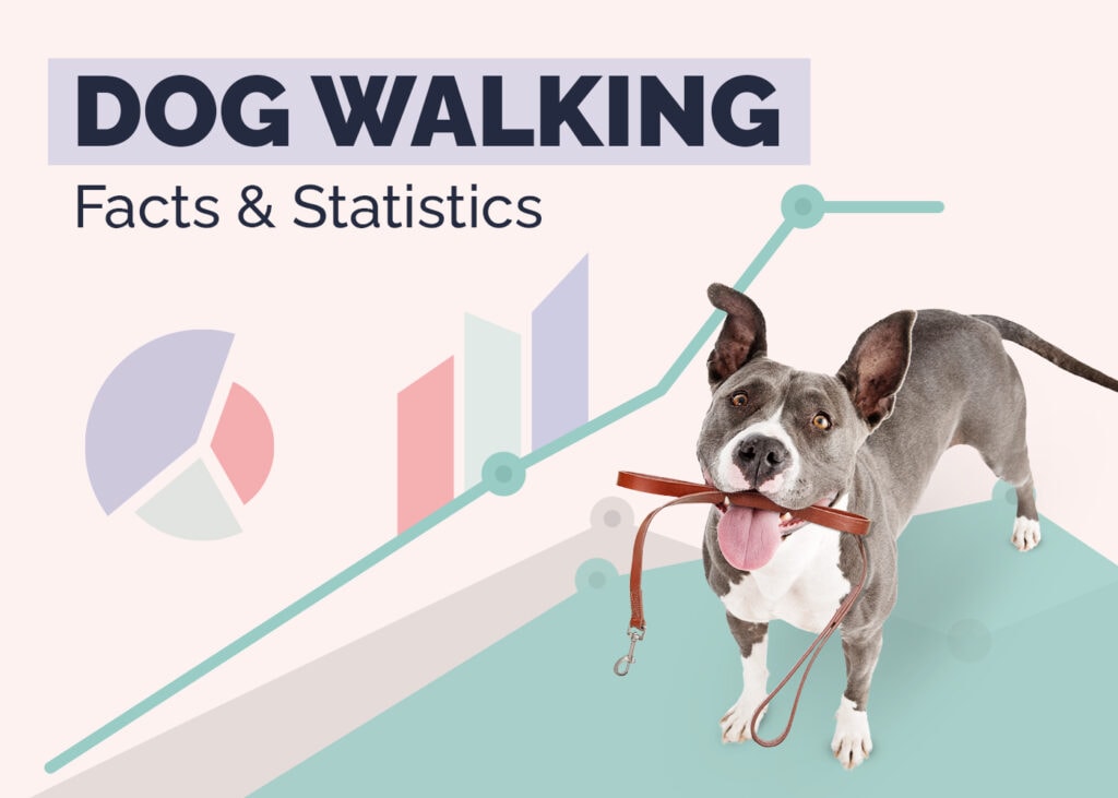 Dog Walking Statistics