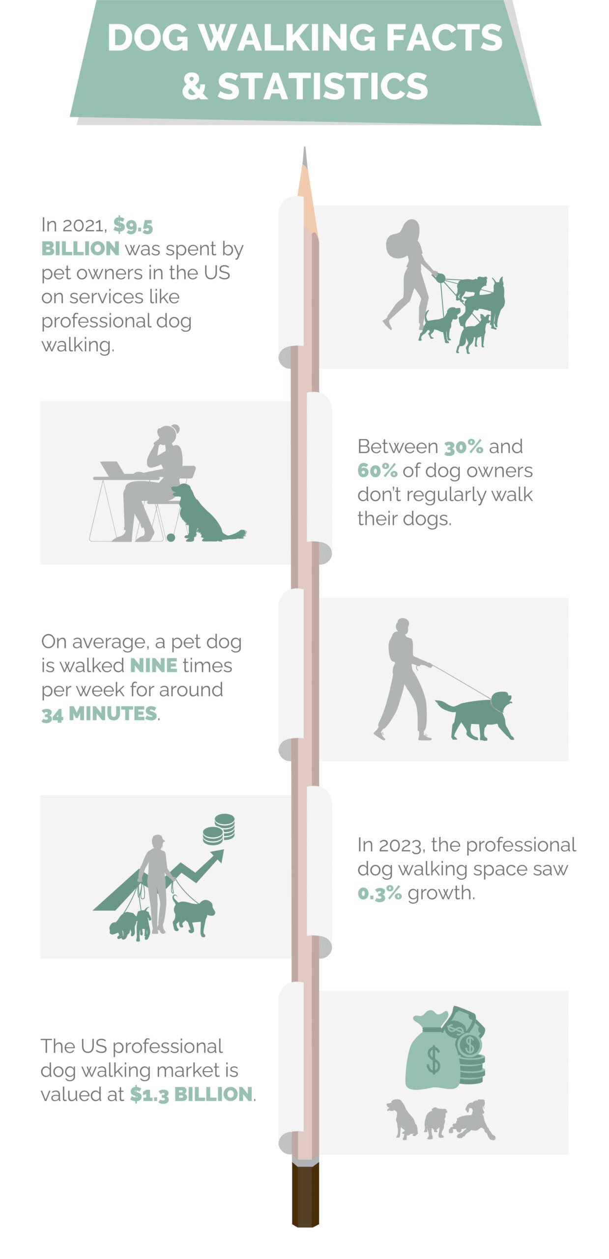 Dog walking statistics