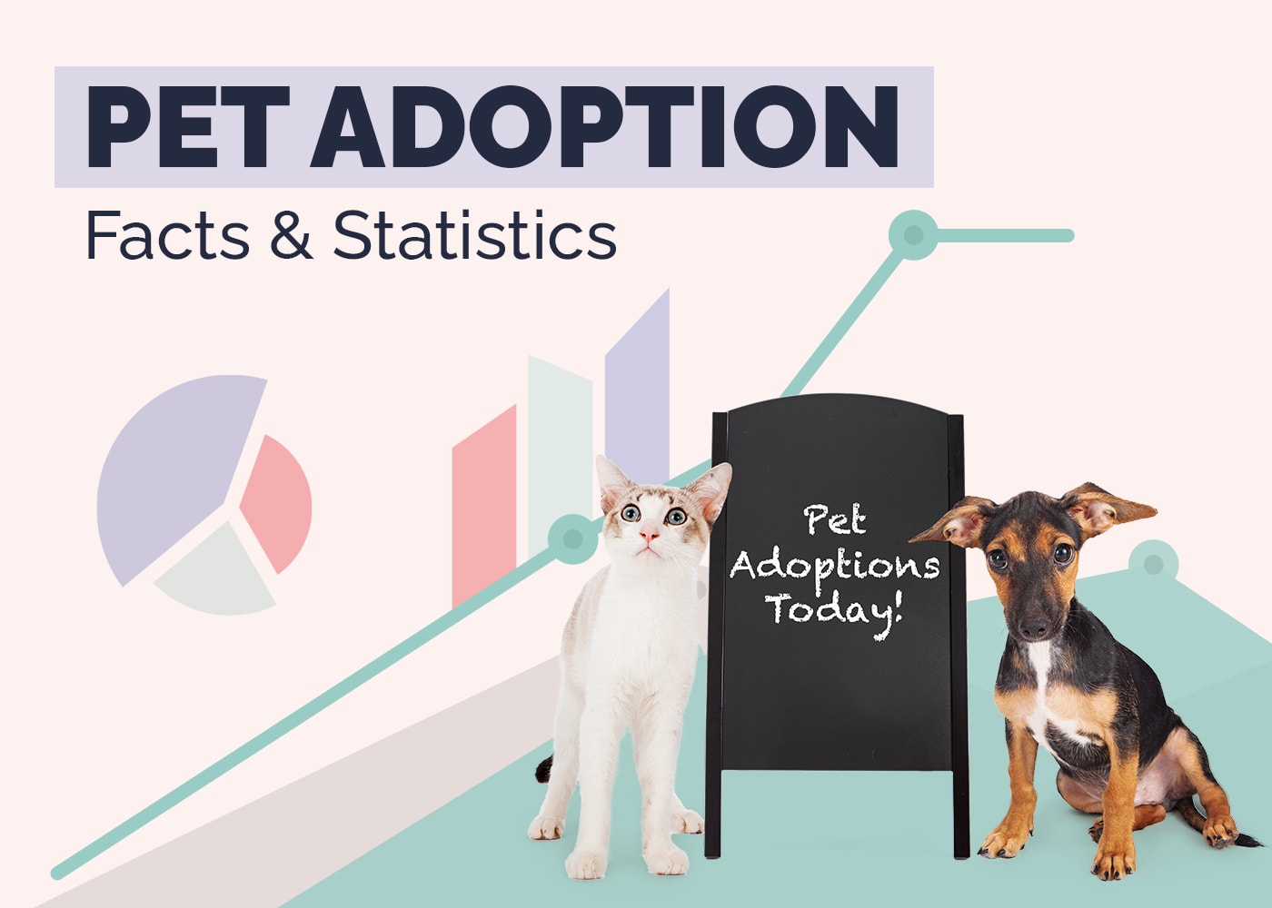 Pet Adoption Facts and Statistics