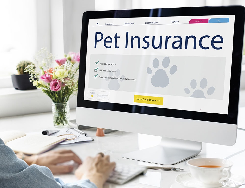 Online Pet Insurance Application