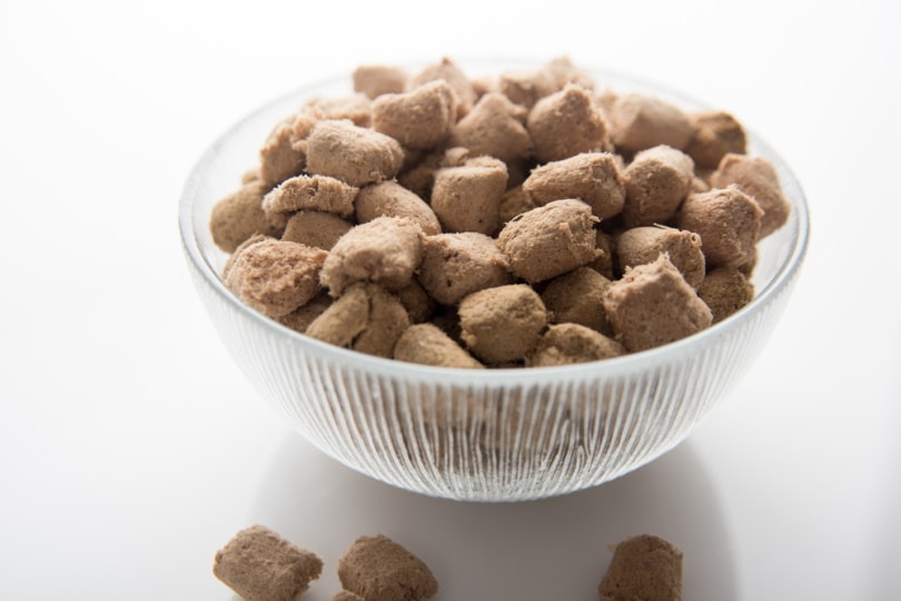 freeze dried dog food in bowl