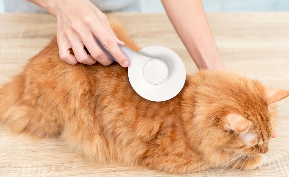 How to Painlessly Get Mats Out of Cat Fur