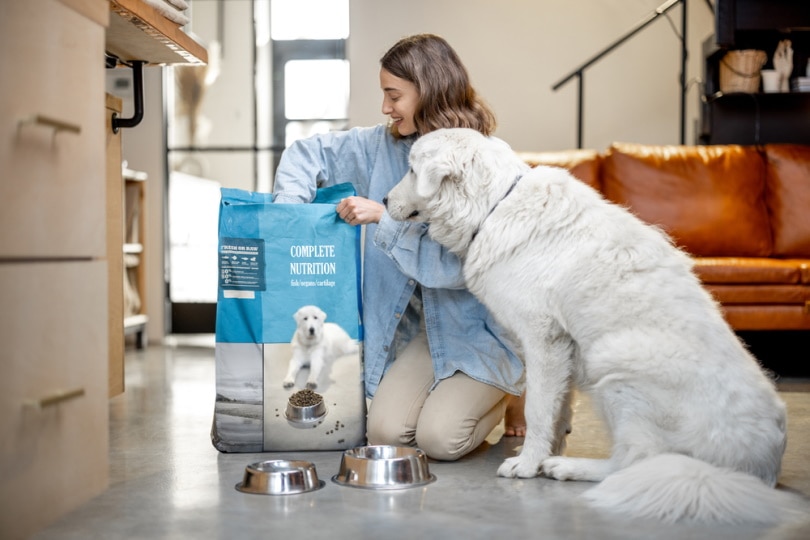 woman feeding her dog