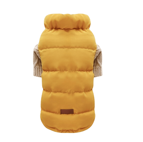 Cat Coat Crossword Clue