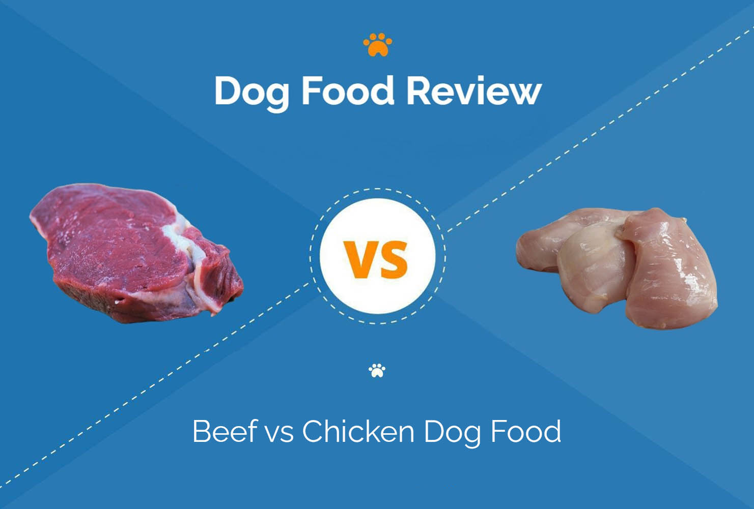 Beef vs Chicken Dog Food