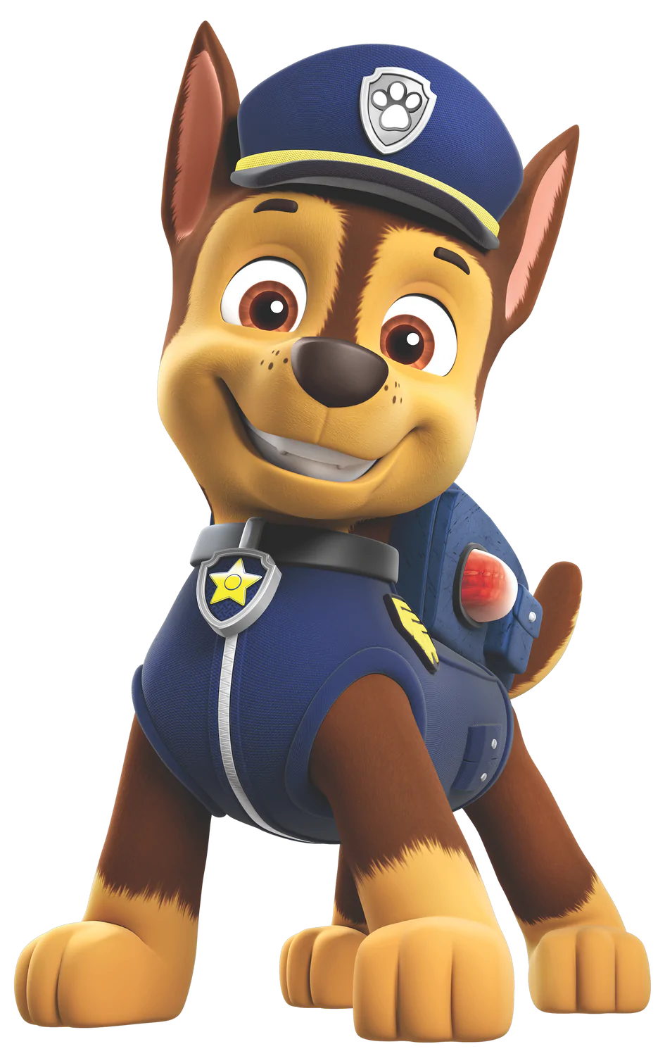 what kind of dogs are the paw patrol pups