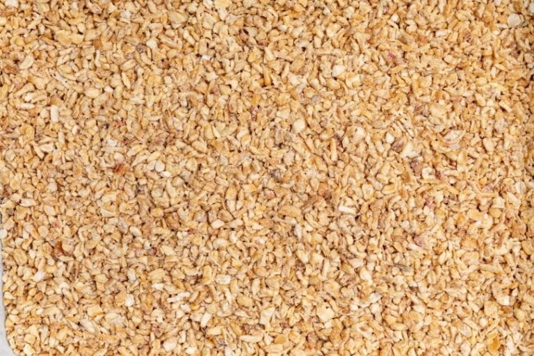 Corn Litter vs Clay Litter Cái nào tốt hơn cho con mèo của tôi? Thế