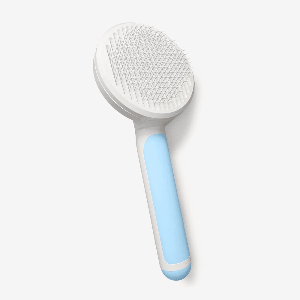 10 Best Cat Brushes for Dandruff 2024 Reviews & Top Picks Hepper