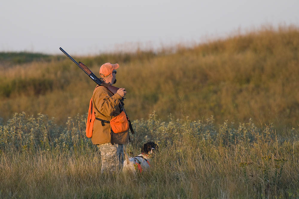Hunting with a bird hunting dog