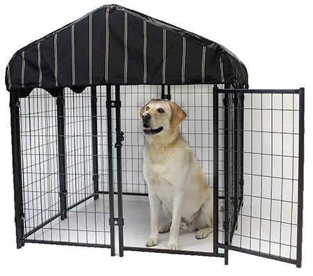 best play pen for puppies