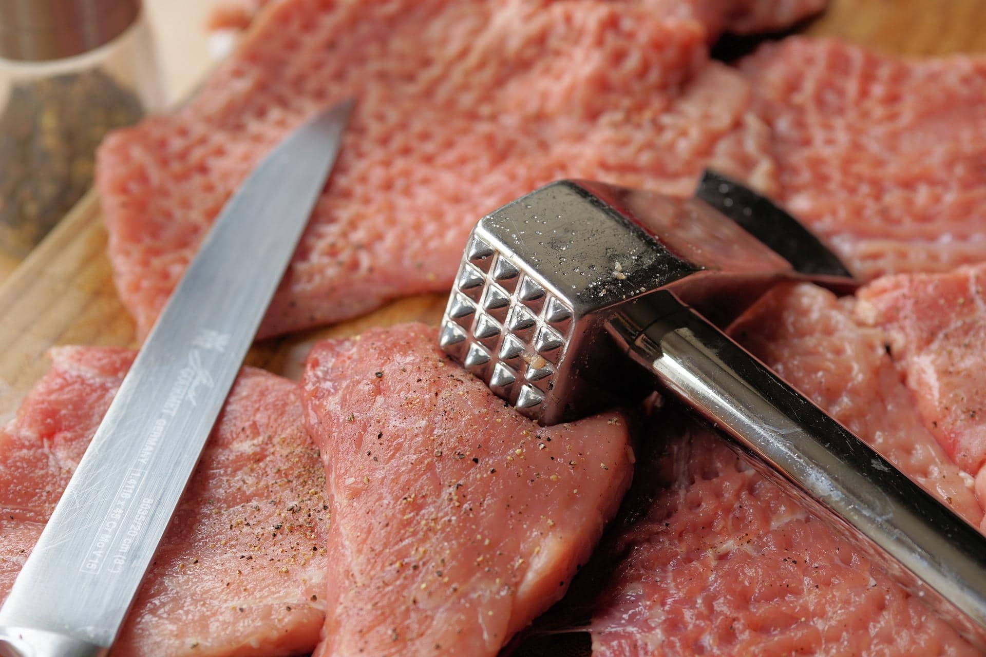 Is meat tenderizer okay for dogs?