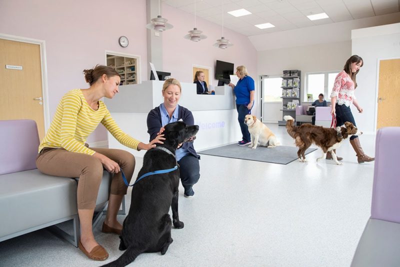 Pet dog owner with nurse in vet surgery waiting room reception