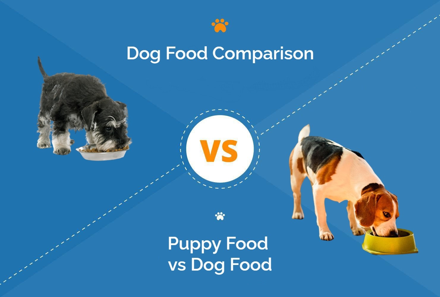 Puppy food vs Dog Food - hep ft
